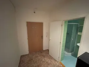 Pronájem bytu 1+kk, Aš, Chebská, 37 m2