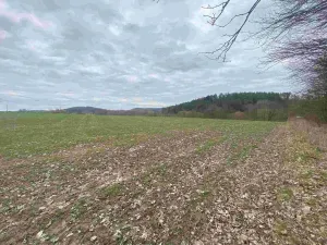 Prodej pozemku, Žinkovy, 4100 m2