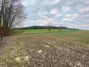 Prodej pozemku, Žinkovy, 4100 m2