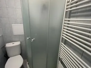 Pronájem bytu 1+1, Most, Lesní, 30 m2