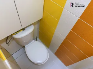 Pronájem bytu 1+1, Sokolov, Švabinského, 39 m2