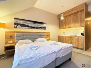 Prodej apartmánu, Dolní Morava, 30 m2