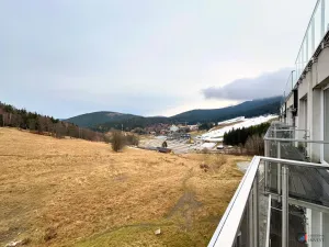 Prodej apartmánu, Dolní Morava, 30 m2