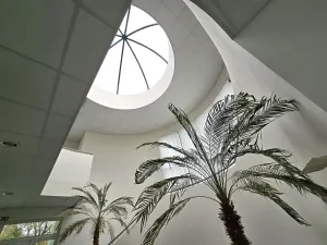 Pronájem výrobních prostor, Brno, Franzova, 785 m2