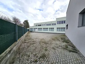 Pronájem výrobních prostor, Brno, Franzova, 785 m2