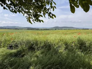 Prodej rodinného domu, Gruna, 851 m2