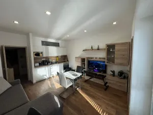 Pronájem bytu 1+kk, Brno, Dřevařská, 40 m2