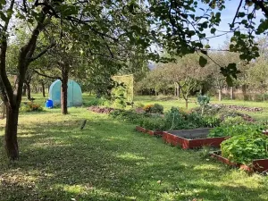 Prodej rodinného domu, Orlické Podhůří, 267 m2