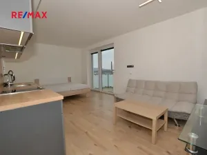 Pronájem bytu 1+kk, Plzeň, Na Roudné, 41 m2