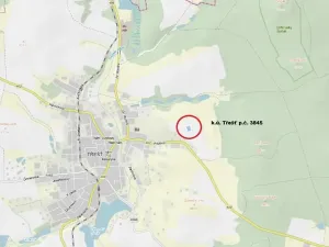 Prodej lesa, Třešť, 1987 m2