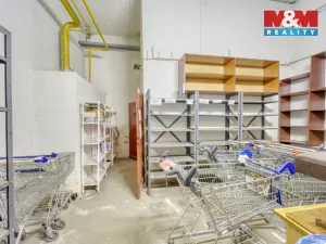 Pronájem skladu, Plzeň - Jižní Předměstí, Husova, 371 m2
