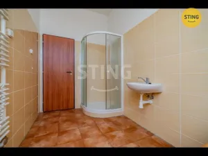 Pronájem skladu, Mankovice, 220 m2