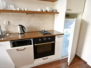 Pronájem bytu 2+1, Praha - Nusle, Oldřichova, 42 m2