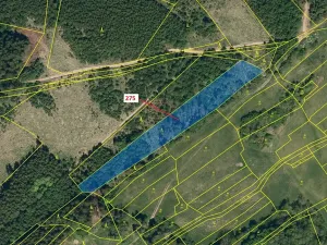 Dražba lesa, Kateřinice, 4826 m2