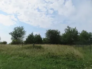 Dražba zahrady, Ploskovice, 23378 m2