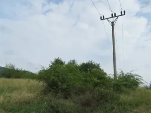 Dražba zahrady, Ploskovice, 23378 m2