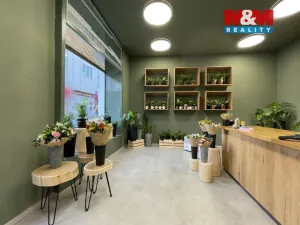 Prodej rodinného domu, Louny, Pražská, 173 m2