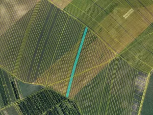 Prodej pole, Čejkovice, 25676 m2