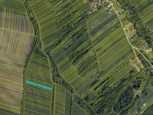 Prodej louky, Javorník, 4658 m2