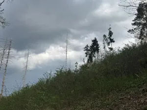 Prodej pozemku, Boršov nad Vltavou, 7673 m2