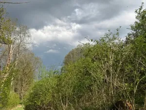 Prodej pozemku, Boršov nad Vltavou, 7673 m2