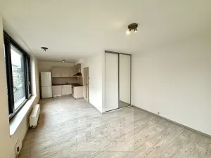 Pronájem bytu 1+kk, Praha - Karlín, Sokolovská, 40 m2