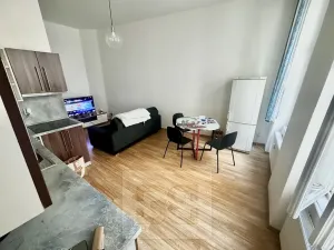 Pronájem bytu 2+kk, Brno, Běhounská, 49 m2