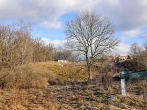 Prodej pozemku pro bydlení, Liberec, Na Mlýnku, 18685 m2