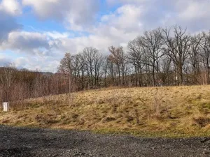 Prodej pozemku pro bydlení, Liberec, Na Mlýnku, 18685 m2