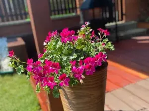 Prodej bytu 4+1, Jesenice, Hrnčířská, 128 m2