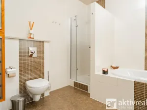 Pronájem bytu 5+kk, Praha - Vinohrady, Perucká, 180 m2