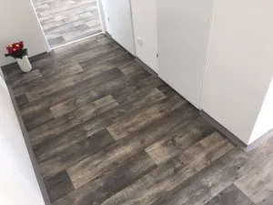 Pronájem bytu 2+1, Ostrava - Hrabůvka, Dr. Martínka, 52 m2