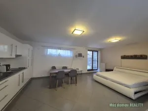 Pronájem bytu 1+kk, Praha - Vinohrady, Francouzská, 60 m2