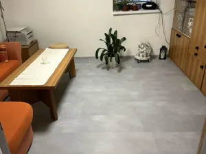 Pronájem bytu 1+1, Náměšť nad Oslavou - Jedov, 45 m2