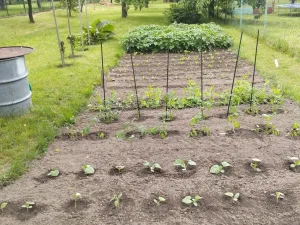 Pronájem bytu 1+1, Náměšť nad Oslavou - Jedov, 45 m2