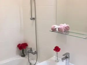 Pronájem bytu 2+1, Ostrava - Hrabůvka, Josefa Kotase, 50 m2