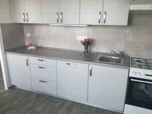 Pronájem bytu 2+1, Ostrava - Poruba, Francouzská, 56 m2