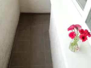 Pronájem bytu 2+1, Ostrava, Dr. Martínka, 50 m2