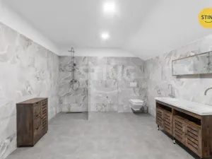 Prodej vícegeneračního domu, Český Těšín, Ropická, 387 m2