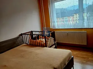 Pronájem bytu 3+1, Kraslice, Pod nádražím, 72 m2