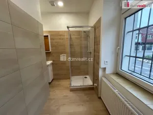 Pronájem bytu 2+kk, Kolín - Kolín V, Ovčárecká, 69 m2