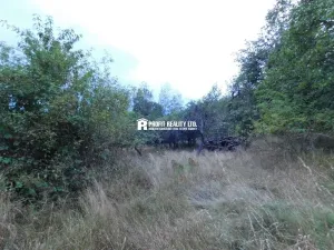 Prodej pozemku pro bydlení, Dubá - Zátyní, 2213 m2