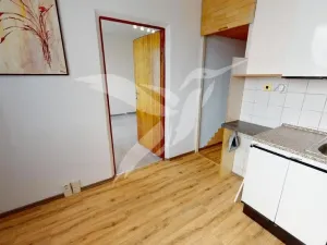 Pronájem bytu 1+1, Plzeň, Žlutická, 39 m2