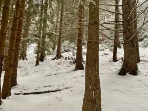 Prodej pozemku pro bydlení, Velké Karlovice, 45173 m2