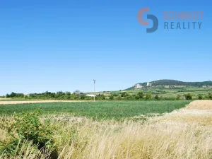 Prodej pole, Perná, 8959 m2