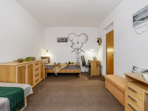 Prodej bytu 2+kk, České Budějovice - České Budějovice 3, U Trojice, 54 m2