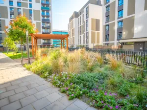 Prodej bytu 2+kk, Praha - Žižkov, Olgy Havlové, 53 m2