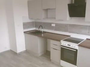 Pronájem bytu 3+1, Most, K. H. Borovského, 61 m2