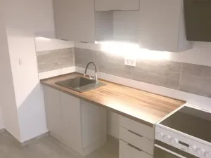 Pronájem bytu 3+1, Most, K. H. Borovského, 61 m2