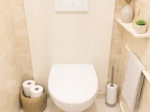 Pronájem bytu 2+1, Šenov u Nového Jičína, Anenská, 72 m2